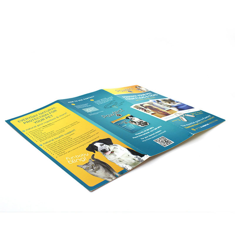 Factory Custom Eco Friendly Paper Catalogue Printing Brochure