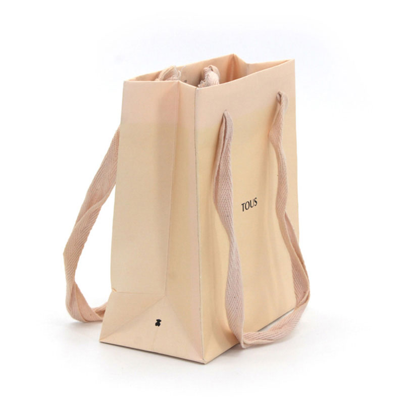 High Quality Eco Friendly Fashion Shopping Small Paper Bag