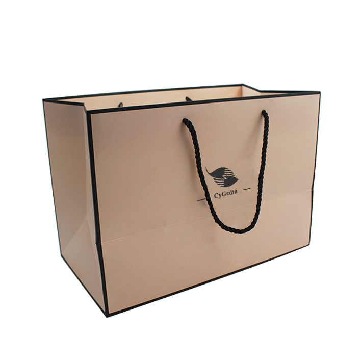 Excellent Quality Custom Logo Printing Recyclable Shopping Paper Bag